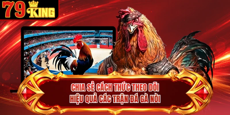 Chia sẻ cách thức theo dõi hiệu quả các trận đá gà nòi