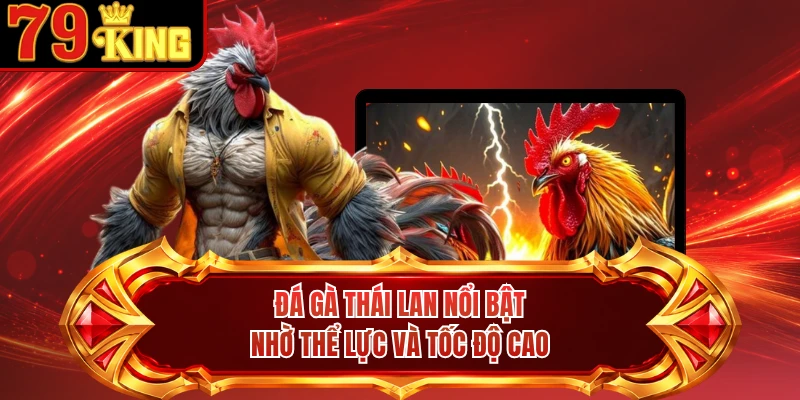 Đá gà Thái Lan nổi bật nhờ thể lực và tốc độ cao