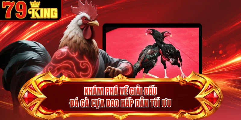 Khám phá về giải đấu đá gà cựa dao hấp dẫn tối ưu
