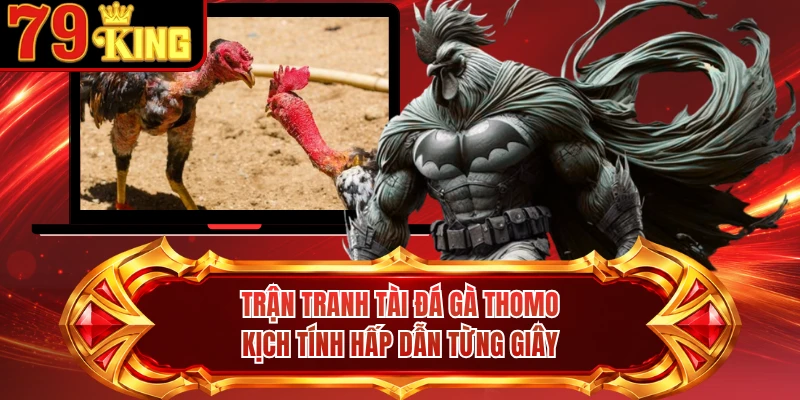 Trận tranh tài đá gà Thomo kịch tính hấp dẫn từng giây